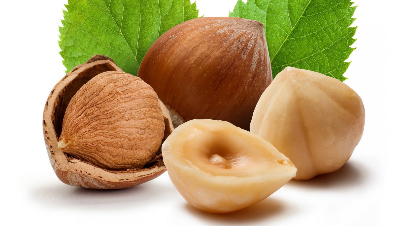 Photo Credit: http://www.bestherbalhealth.com/wp-content/uploads/2014/01/hazelnuts1.jpg 